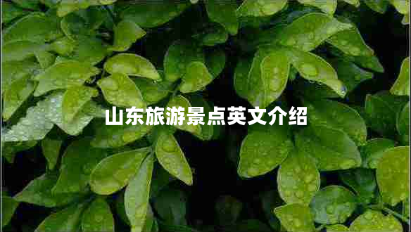 山東旅游景點(diǎn)英文介紹