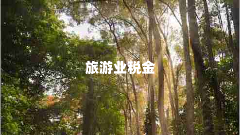 旅游業(yè)稅金 旅游業(yè)稅金