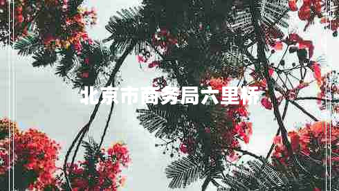 北京市商務(wù)局六里橋