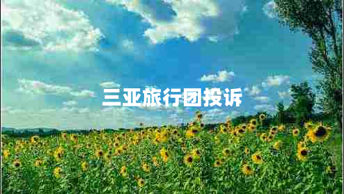三亞旅行團投訴