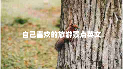 自己喜歡的旅游景點(diǎn)英文