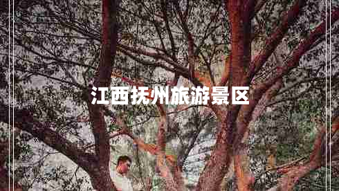 江西撫州旅游景區(qū) 江西撫州旅游景區(qū)