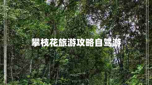 攀枝花旅游攻略自駕游 攀枝花旅游攻略自駕游