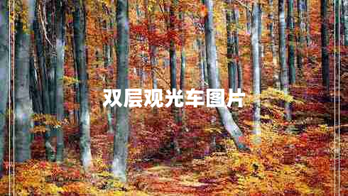 雙層觀光車(chē)圖片