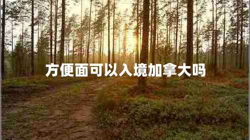 方便面可以入境加拿大嗎 方便面可以入境加拿大嗎