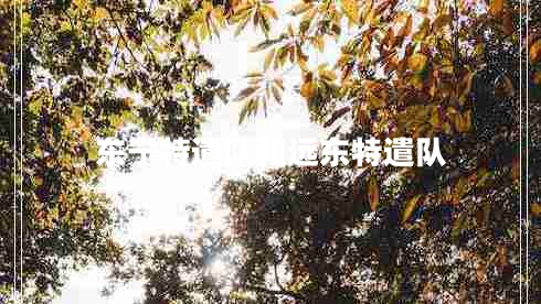 東寧特遣隊和遠東特遣隊