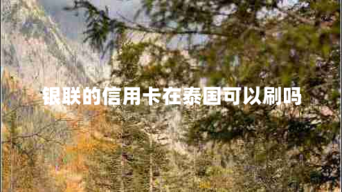 銀聯(lián)的信用卡在泰國(guó)可以刷嗎 銀聯(lián)的信用卡在泰國(guó)可以刷嗎