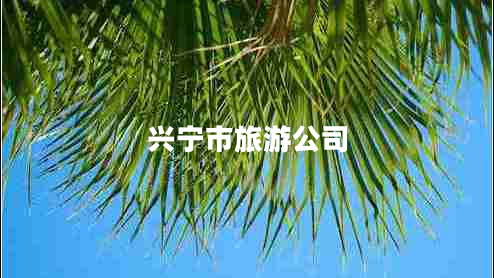 興寧市旅游公司