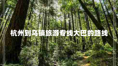 杭州到烏鎮(zhèn)旅游專線大巴的路線