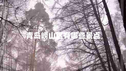 青島嶗山區(qū)有哪些景點