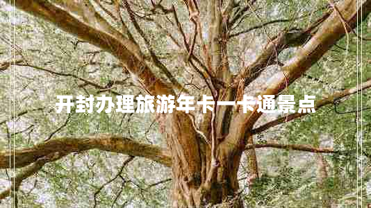 開封辦理旅游年卡一卡通景點