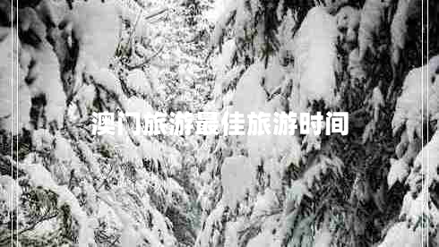 澳門旅游最佳旅游時間