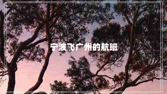 寧波飛廣州的航班 寧波飛廣州的航班