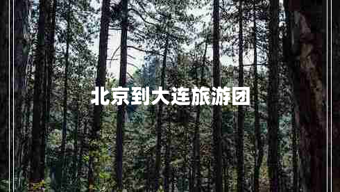北京到大連旅游團