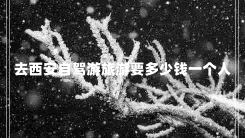 去西安自駕游旅游要多少錢一個人