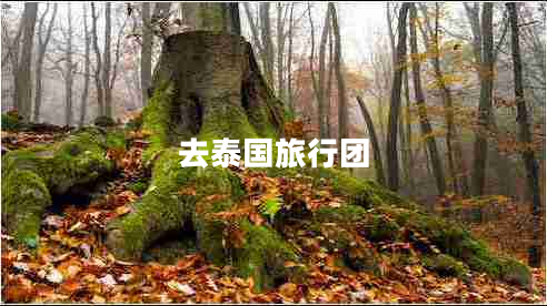 去泰國旅行團 去泰國旅行團