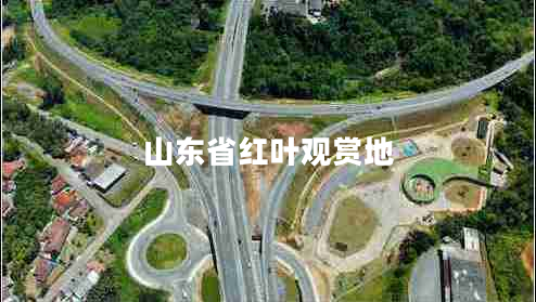 山東省紅葉觀賞地 山東省紅葉觀賞地