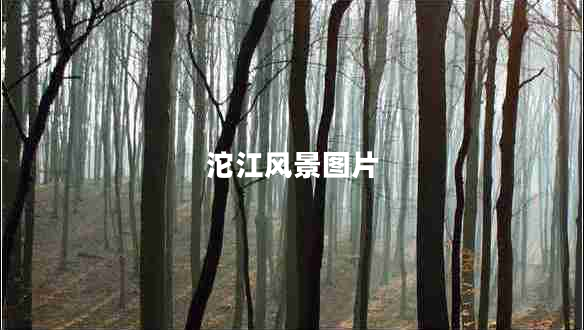沱江風(fēng)景圖片 沱江風(fēng)景圖片