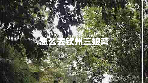 怎么去欽州三娘灣
