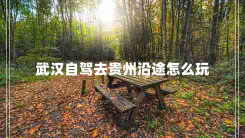 武漢自駕去貴州沿途怎么玩 武漢自駕去貴州沿途怎么玩