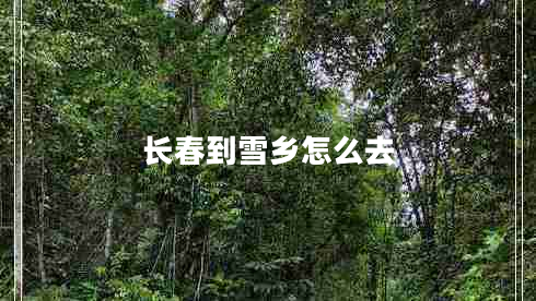長春到雪鄉(xiāng)怎么去