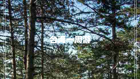 臺灣一周游