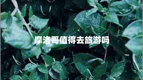 摩洛哥值得去旅游嗎