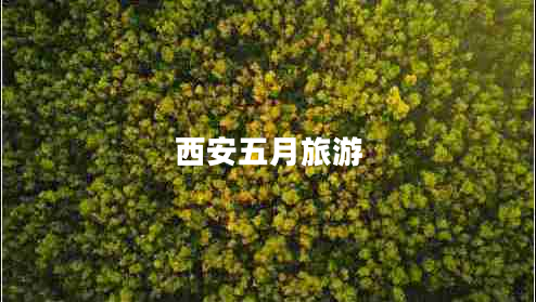 西安五月旅游 西安五月旅游