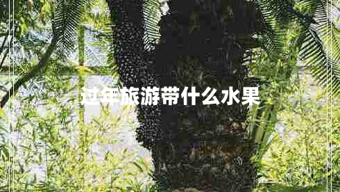 過年旅游帶什么水果