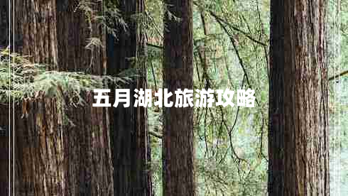 五月湖北旅游攻略