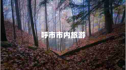 呼市市內(nèi)旅游