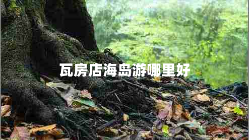 瓦房店海島游哪里好