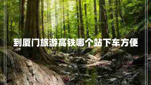 到廈門旅游高鐵哪個(gè)站下車方便 到廈門旅游高鐵哪個(gè)站下車方便