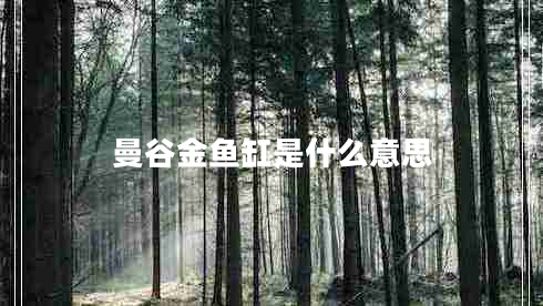 曼谷金魚(yú)缸是什么意思 曼谷金魚(yú)缸是什么意思