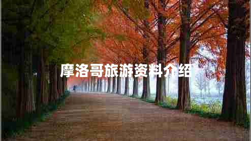 摩洛哥旅游資料介紹 摩洛哥旅游資料介紹