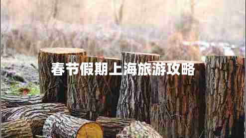 春節(jié)假期上海旅游攻略