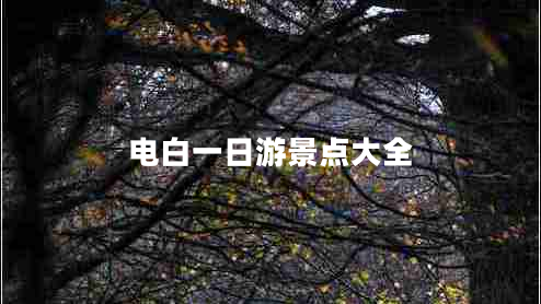 電白一日游景點(diǎn)大全