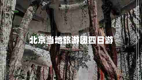 北京當(dāng)?shù)芈糜螆F(tuán)四日游