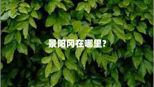 景陽岡在哪里? 景陽岡在哪里?