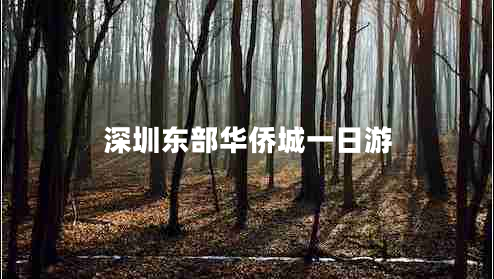 深圳東部華僑城一日游 深圳東部華僑城一日游