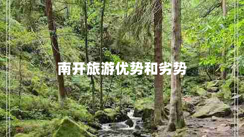 南開旅游優(yōu)勢和劣勢