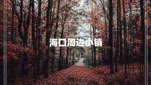 海口周邊小鎮(zhèn) ??谥苓呅℃?zhèn)