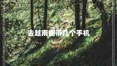 去越南能帶幾個(gè)手機(jī)