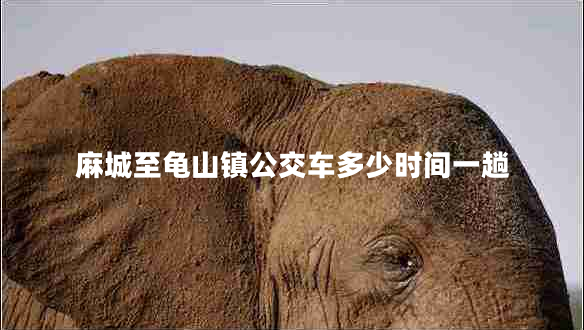 麻城至龜山鎮(zhèn)公交車多少時(shí)間一趟