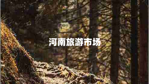 河南旅游市場