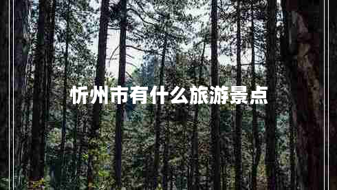 忻州市有什么旅游景點(diǎn)