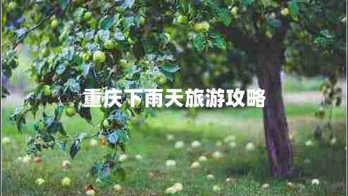 重慶下雨天旅游攻略