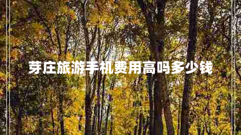 芽莊旅游手機(jī)費用高嗎多少錢