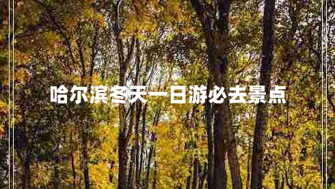 哈爾濱冬天一日游必去景點(diǎn)