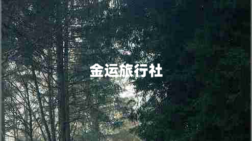金運(yùn)旅行社